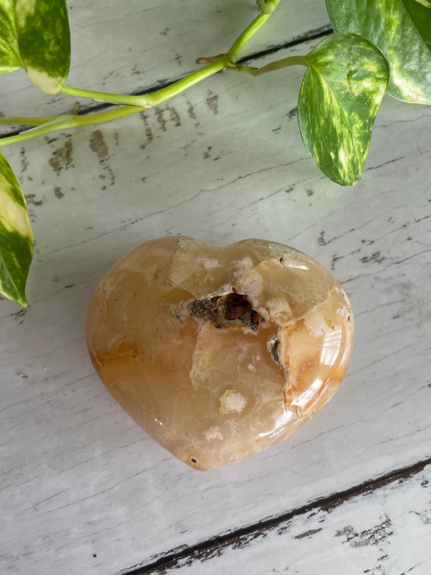 Flower Agate Heart