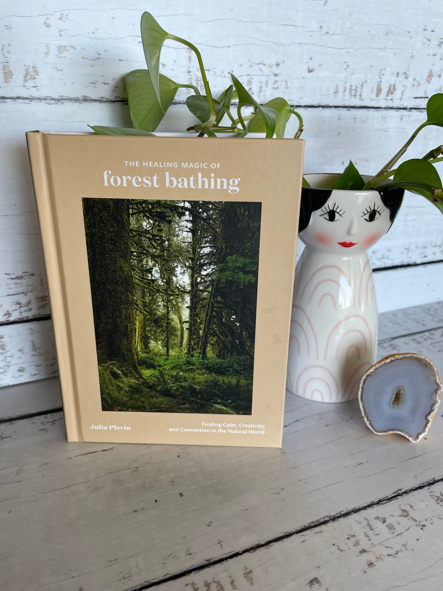 The Healing Magic of Forest Bathing