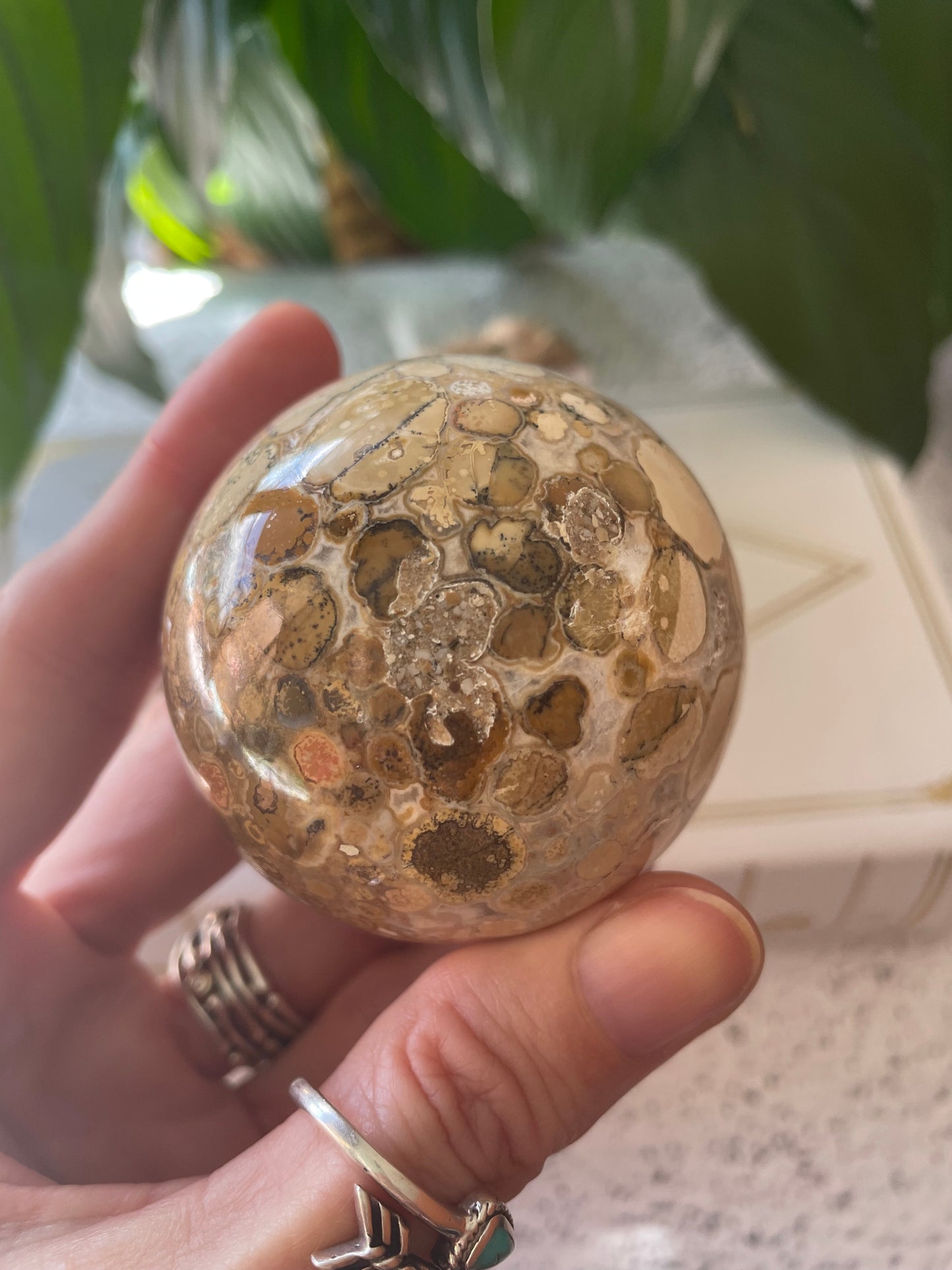 Spotted Agate Sphere Includes Wooden Holder