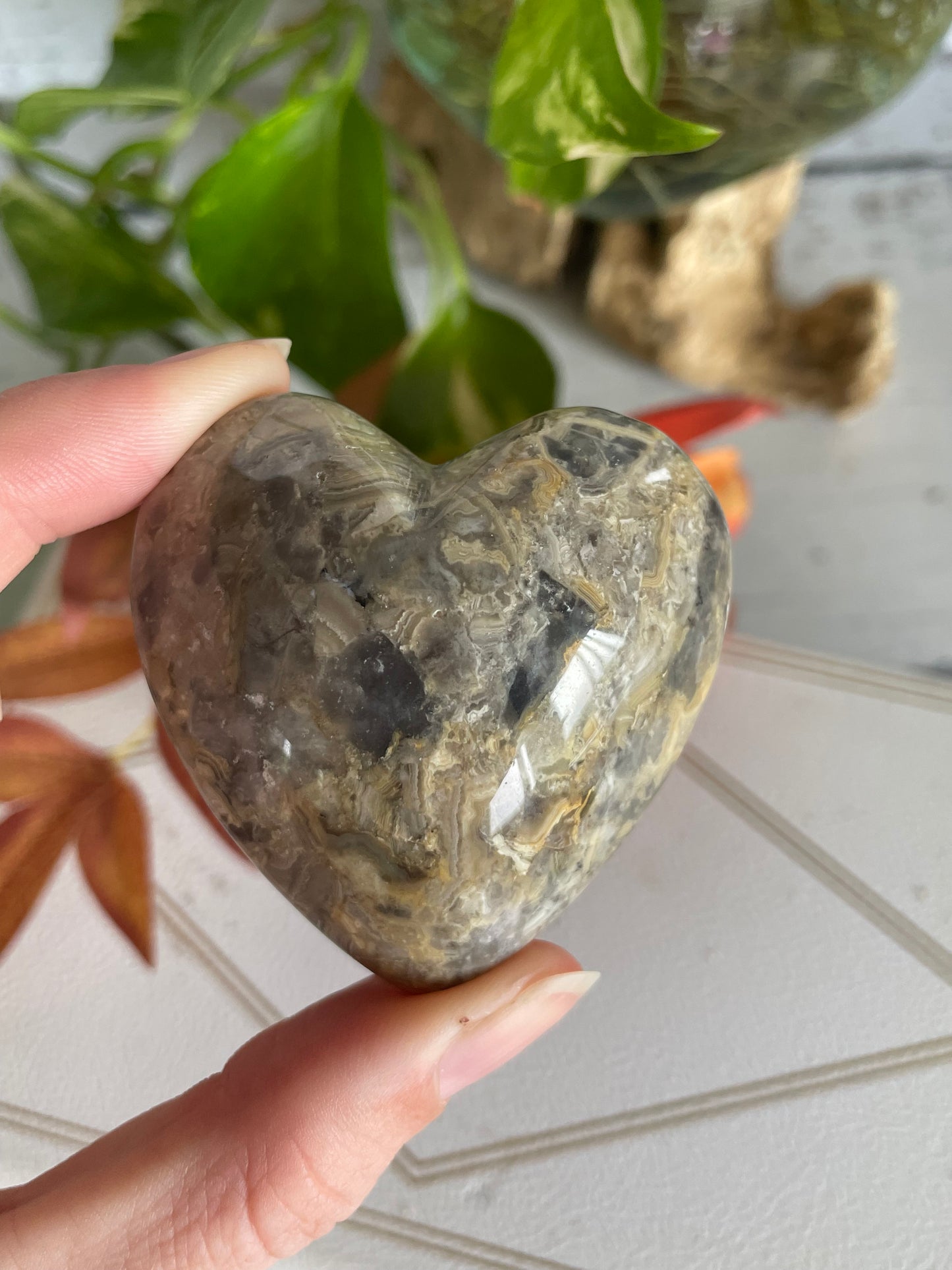 Crazy Lace Agate Heart