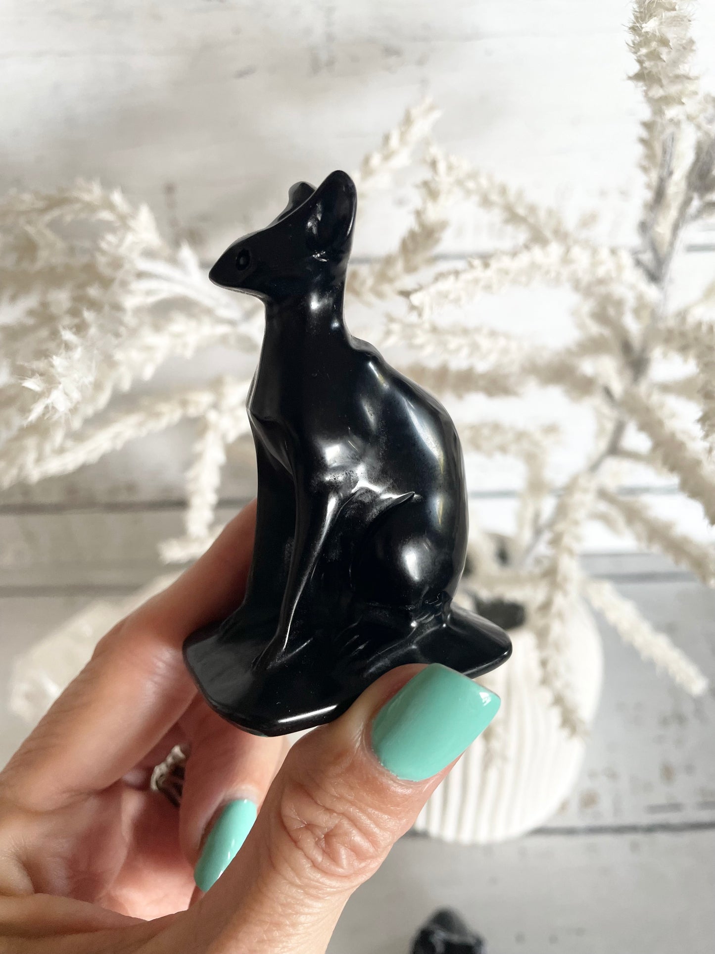 Black Obsidian Sphynx Cat