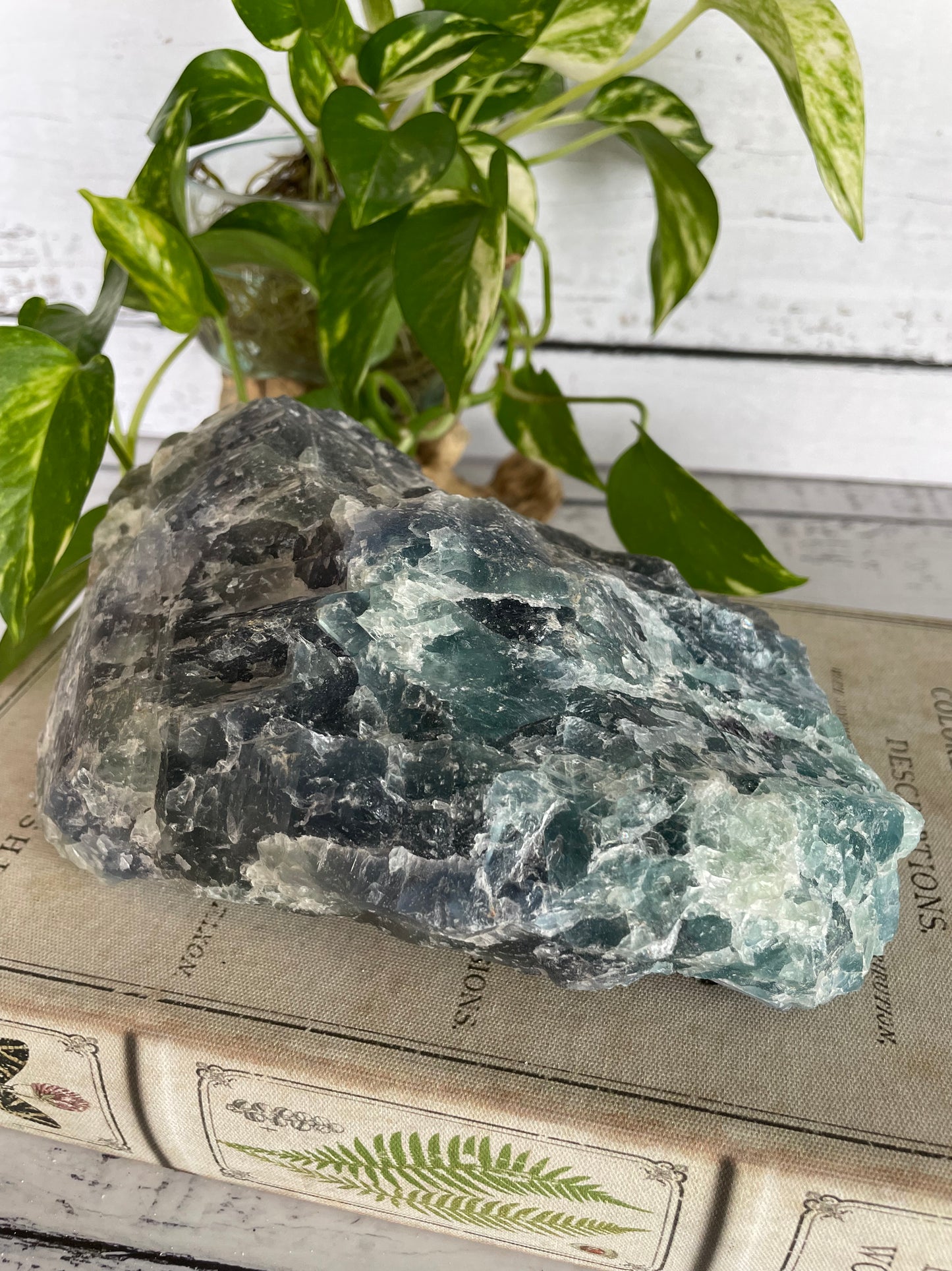 Raw Blue Fluorite 2.2kgs