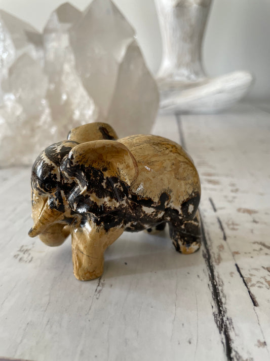 Picture Jasper Elephant