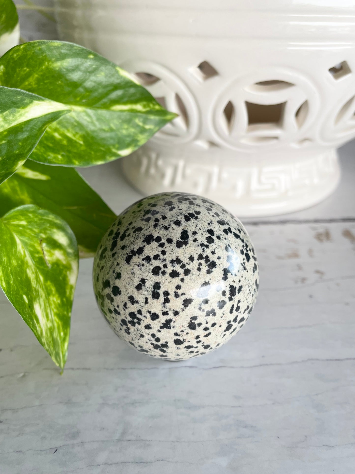 Dalmation Jasper Sphere Includes Wooden Holder