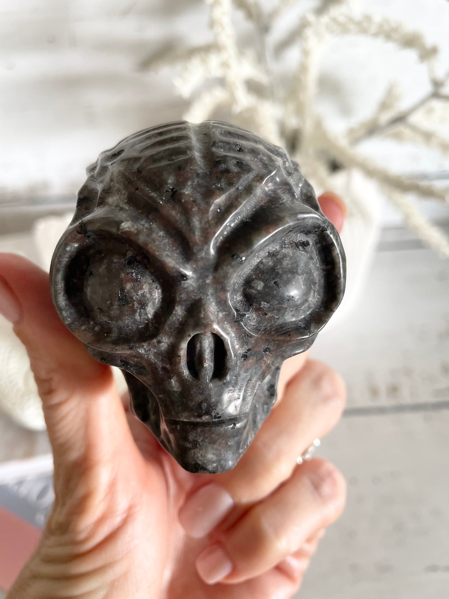 Mixed Moonstone Alien Skull