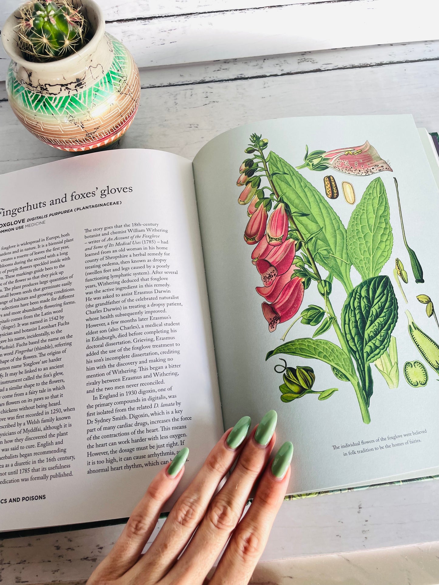 How Herbs Healed the World