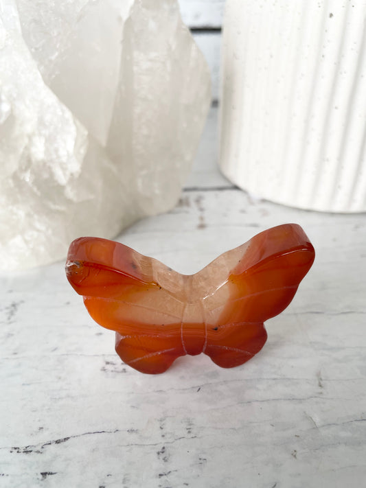 Carnelian Butterfly