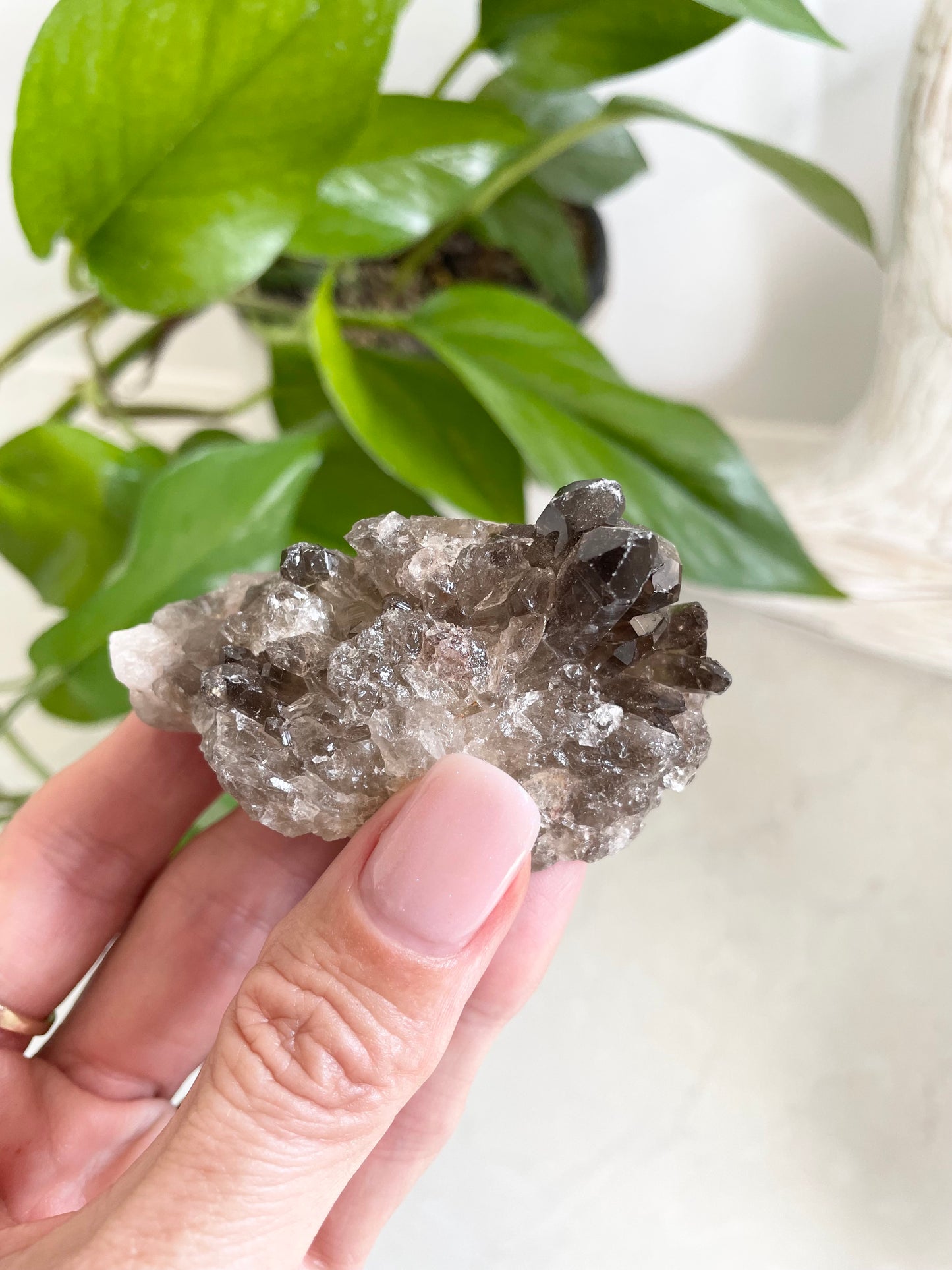 Smoky Quartz Cluster