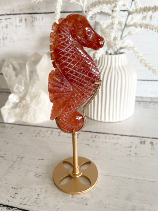 Seahorse ~ Red Aventurine