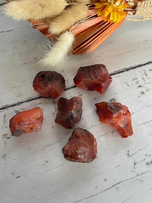 INTUITIVELY CHOSEN ~ Carnelian