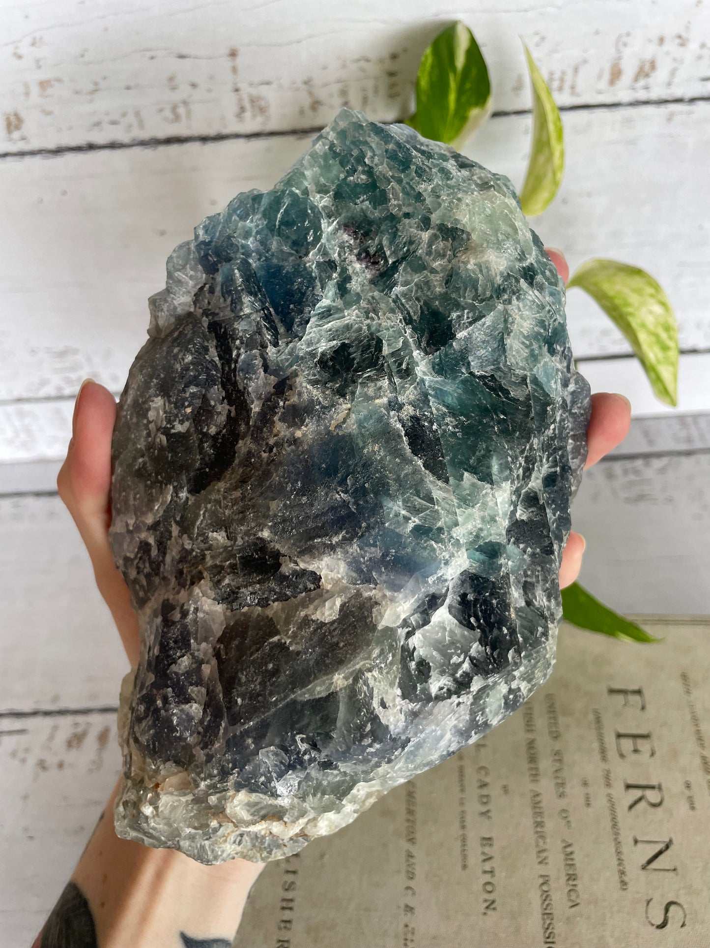 Raw Blue Fluorite 2.2kgs