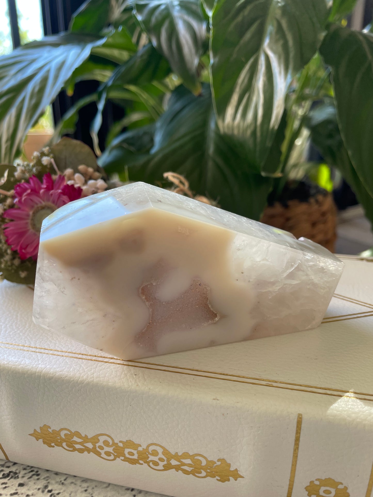 Agate Druzy Coffin ~ release your problems & rest in peace