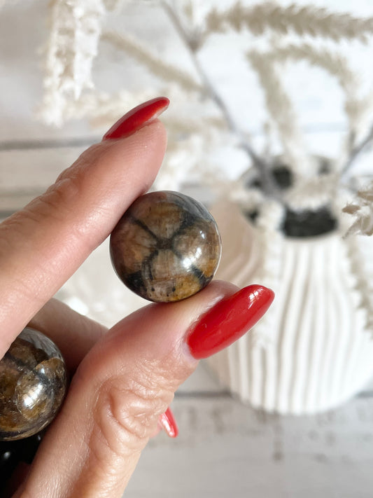 Chiastolite Sphere
