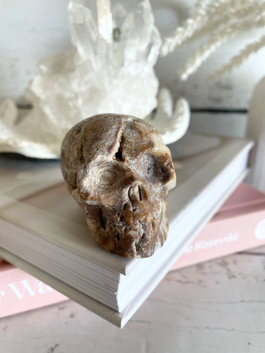 Crazy Lace Agate Skull