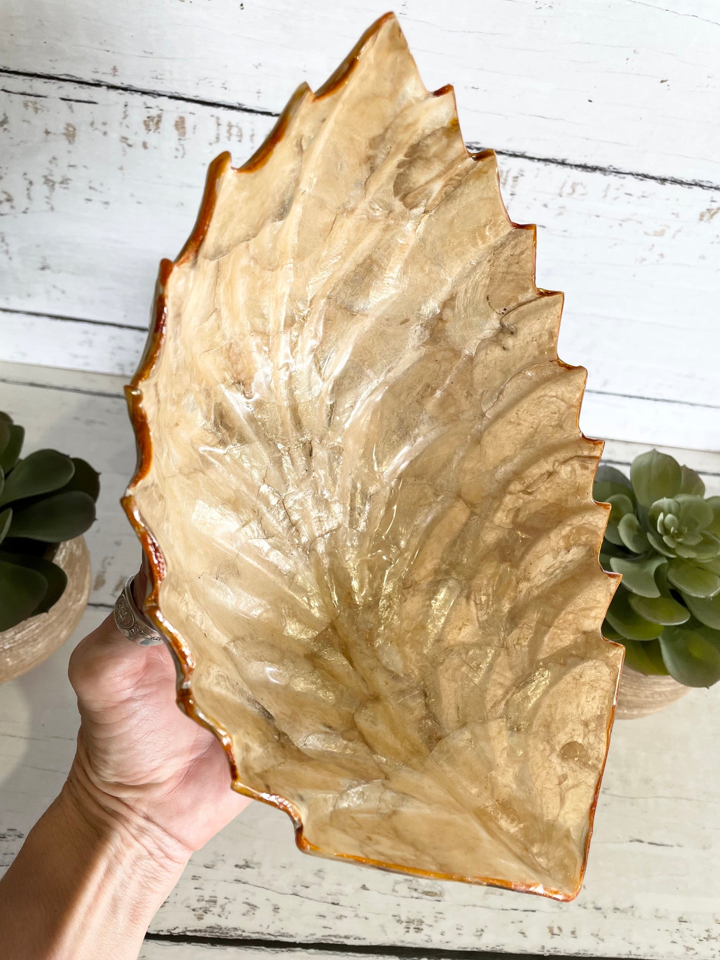 Abalone Shell Trinket Bowl