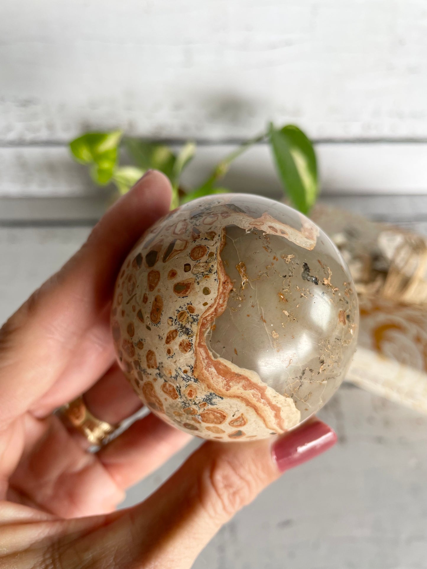 Leopard Skin Jasper Sphere Includes Wooden Holder