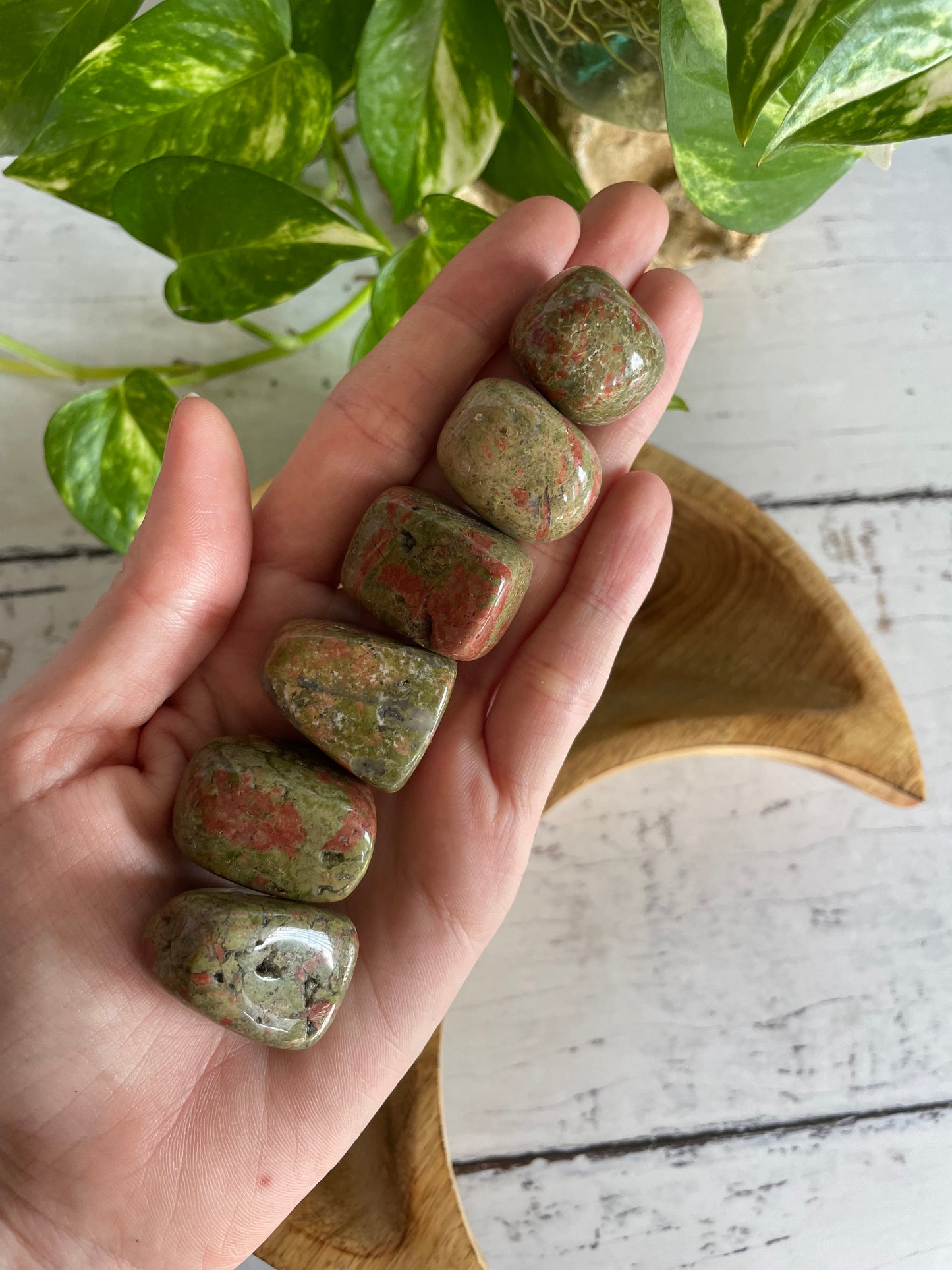 Unakite Tumble Stones