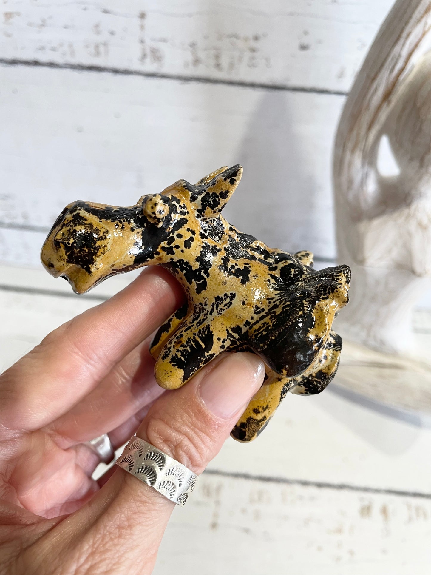 Picture Jasper Donkey ~ 9