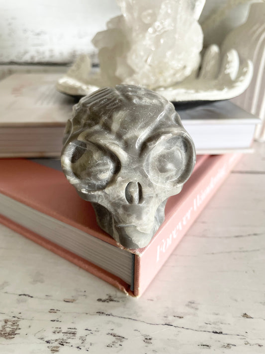 Jasper Alien Skull