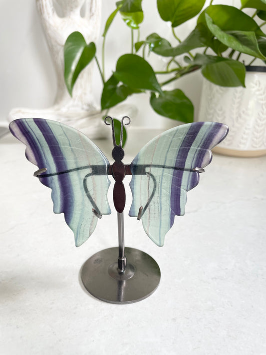 Butterfly ~ Rainbow Fluorite