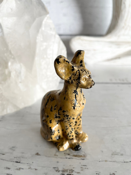 Picture Jasper Spinx Cat ~ 2