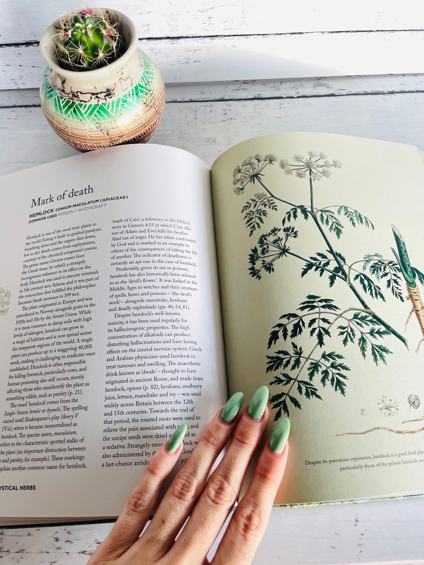 How Herbs Healed the World