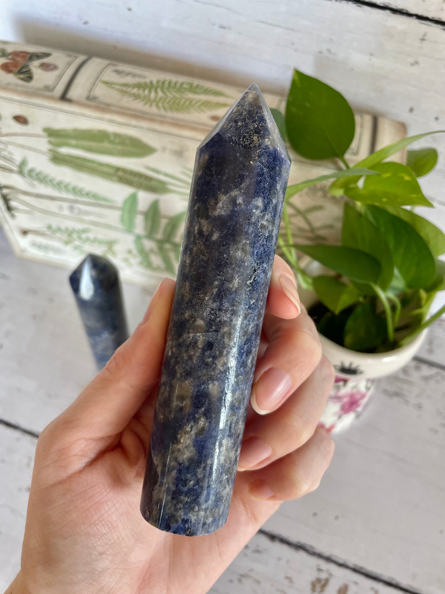 INTUITIVELY CHOSEN ~ Sodalite Tower