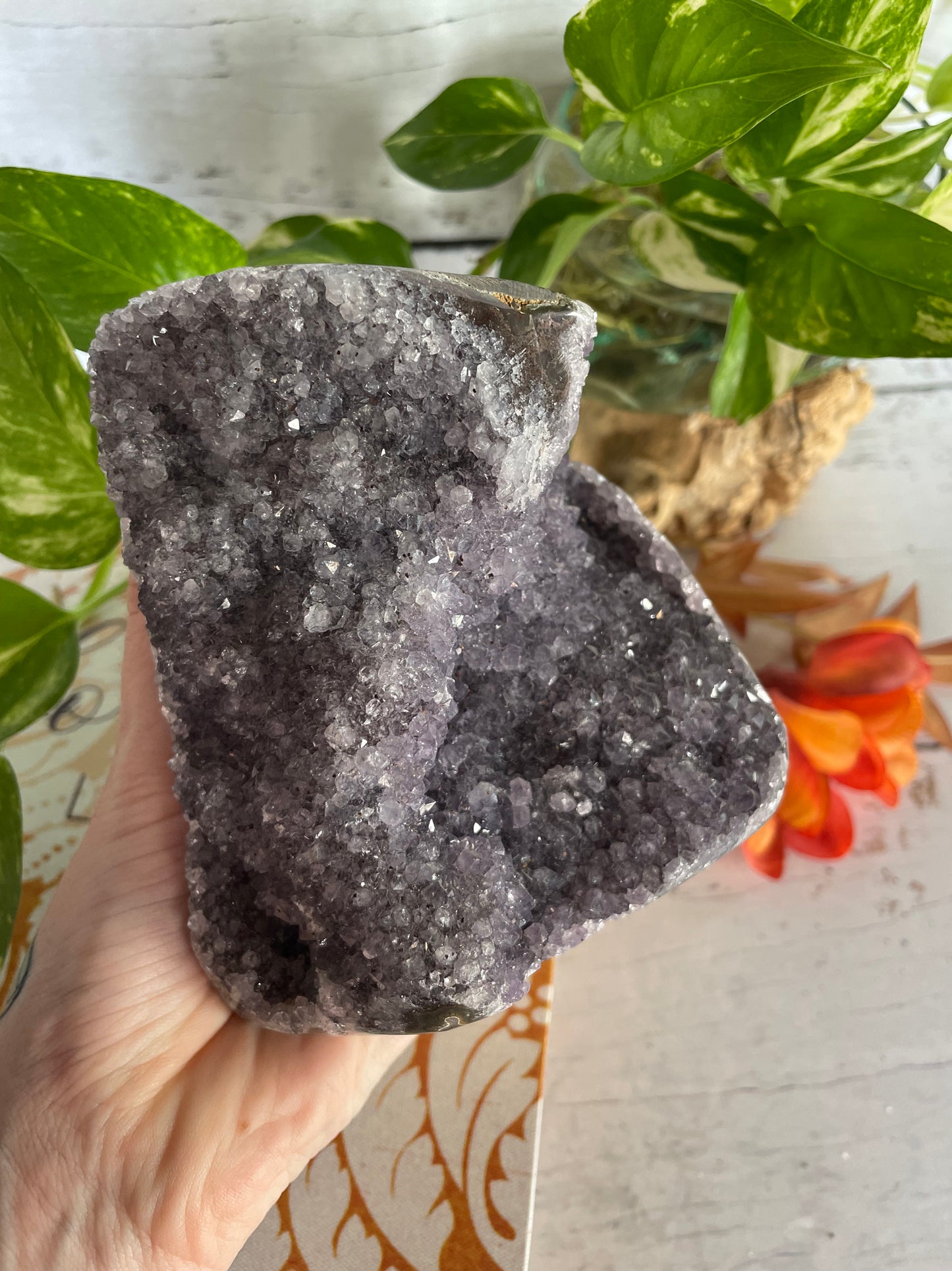 Amethyst Standing Cluster ~ 1.1kgs