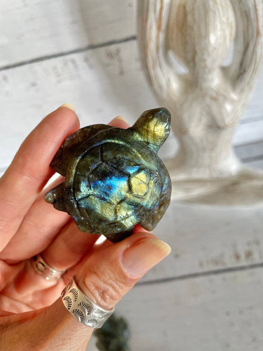 INTUITIVELY CHOSEN ~ Labradorite Turtle
