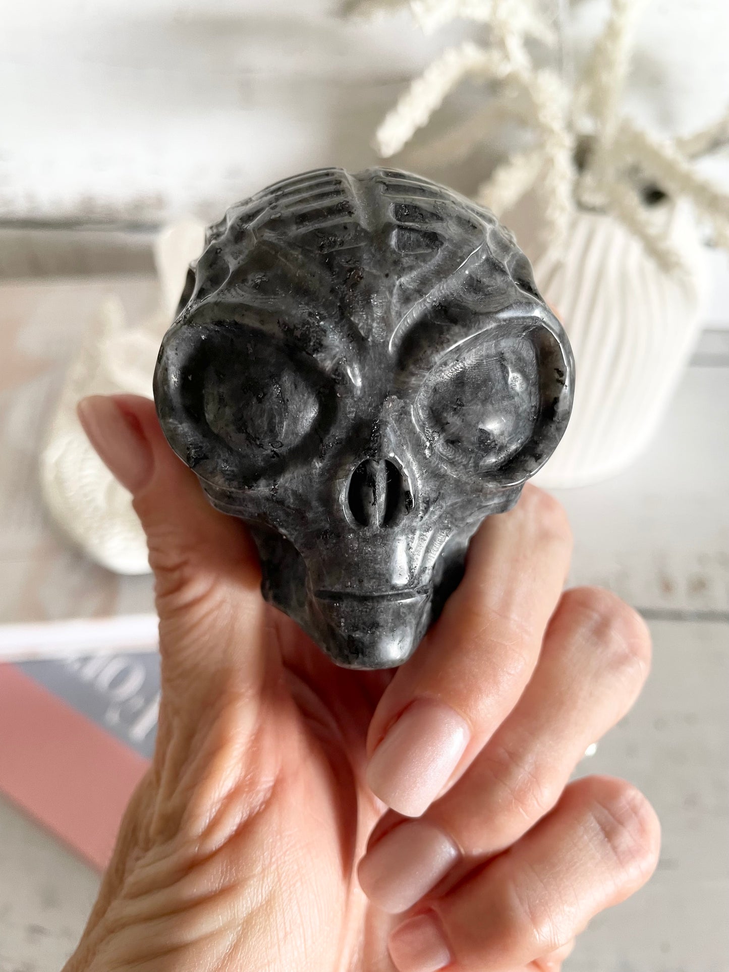 Larvakite Alien Skull