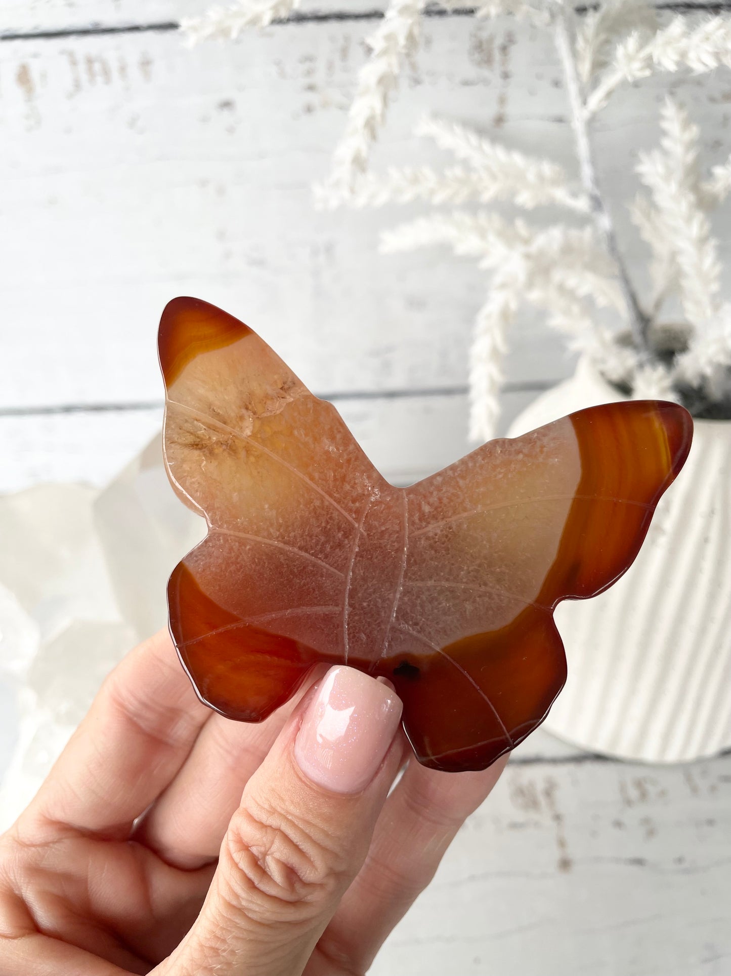 Carnelian Butterfly