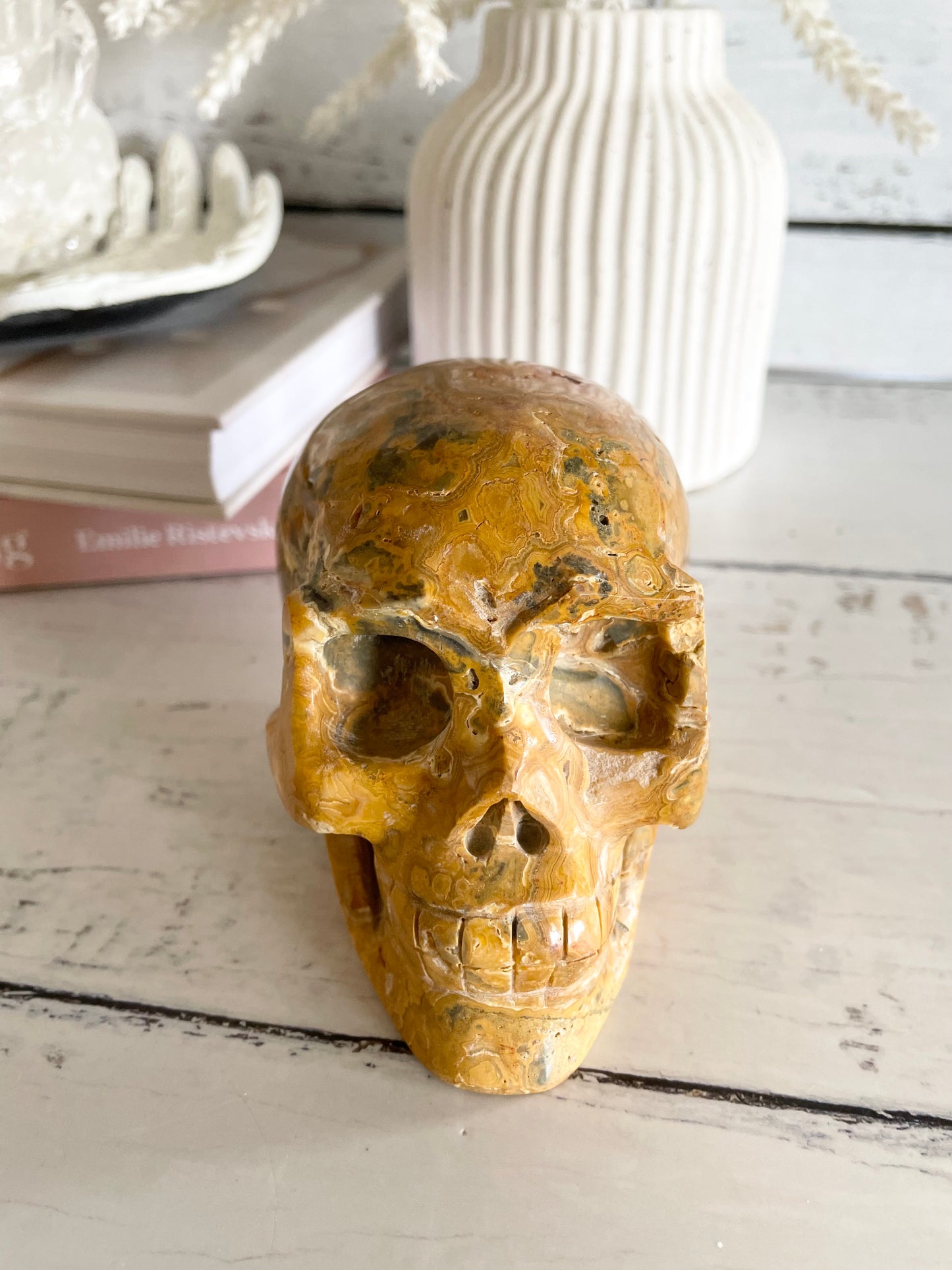 Crazy Lace Agate Skull ~ 1kgs