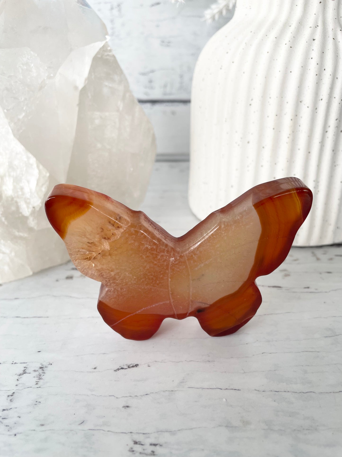Carnelian Butterfly