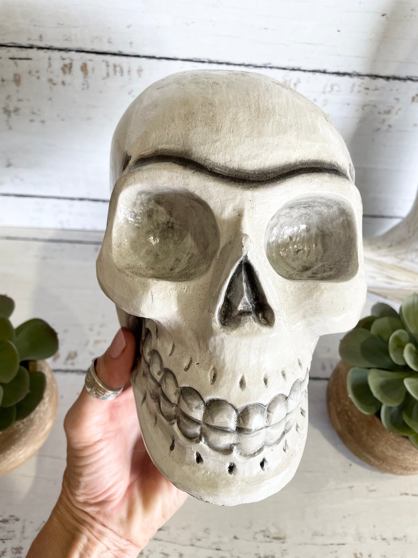 Mango Wood ~ Greywash Skull