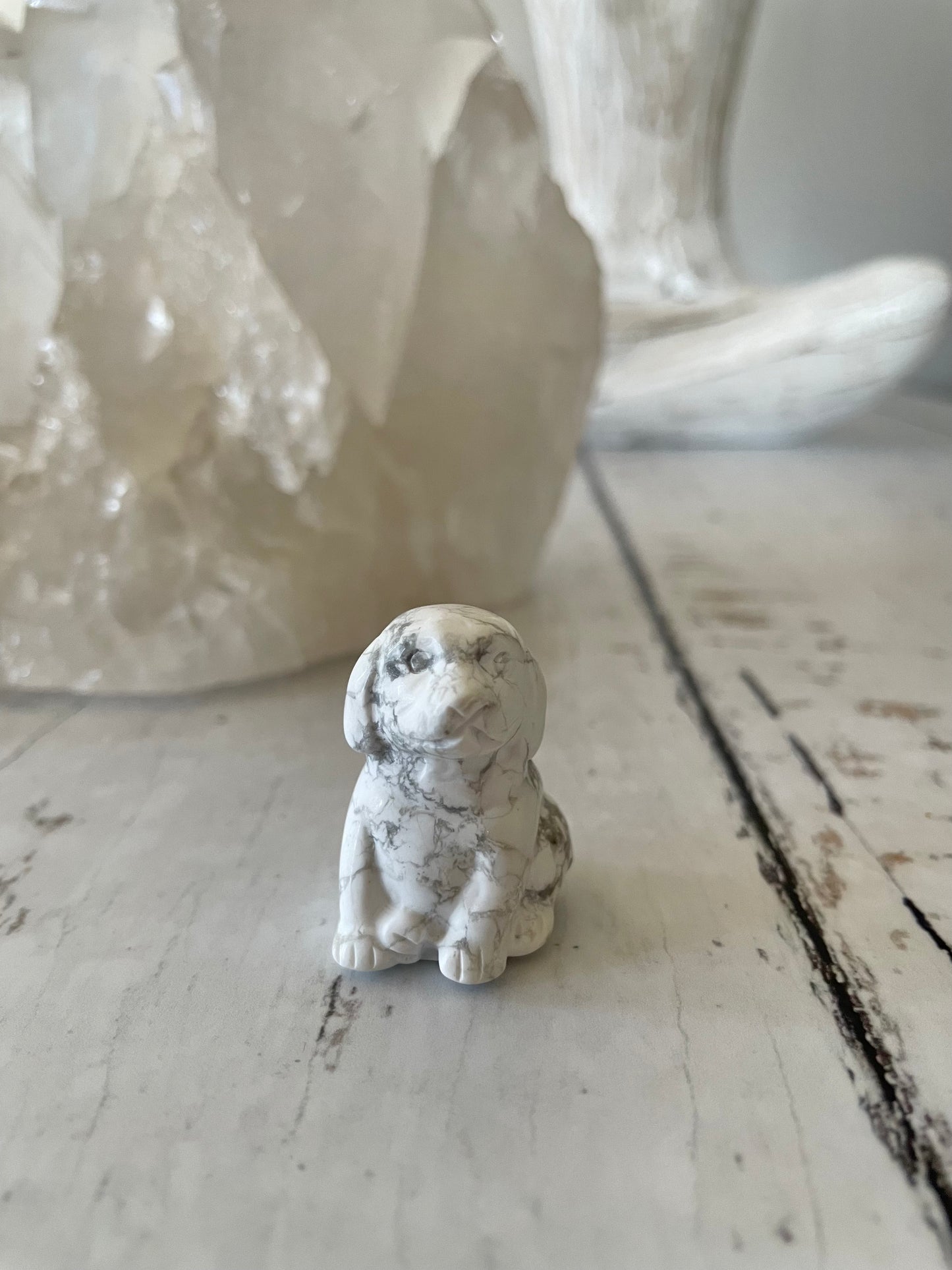 White Howlite Dog