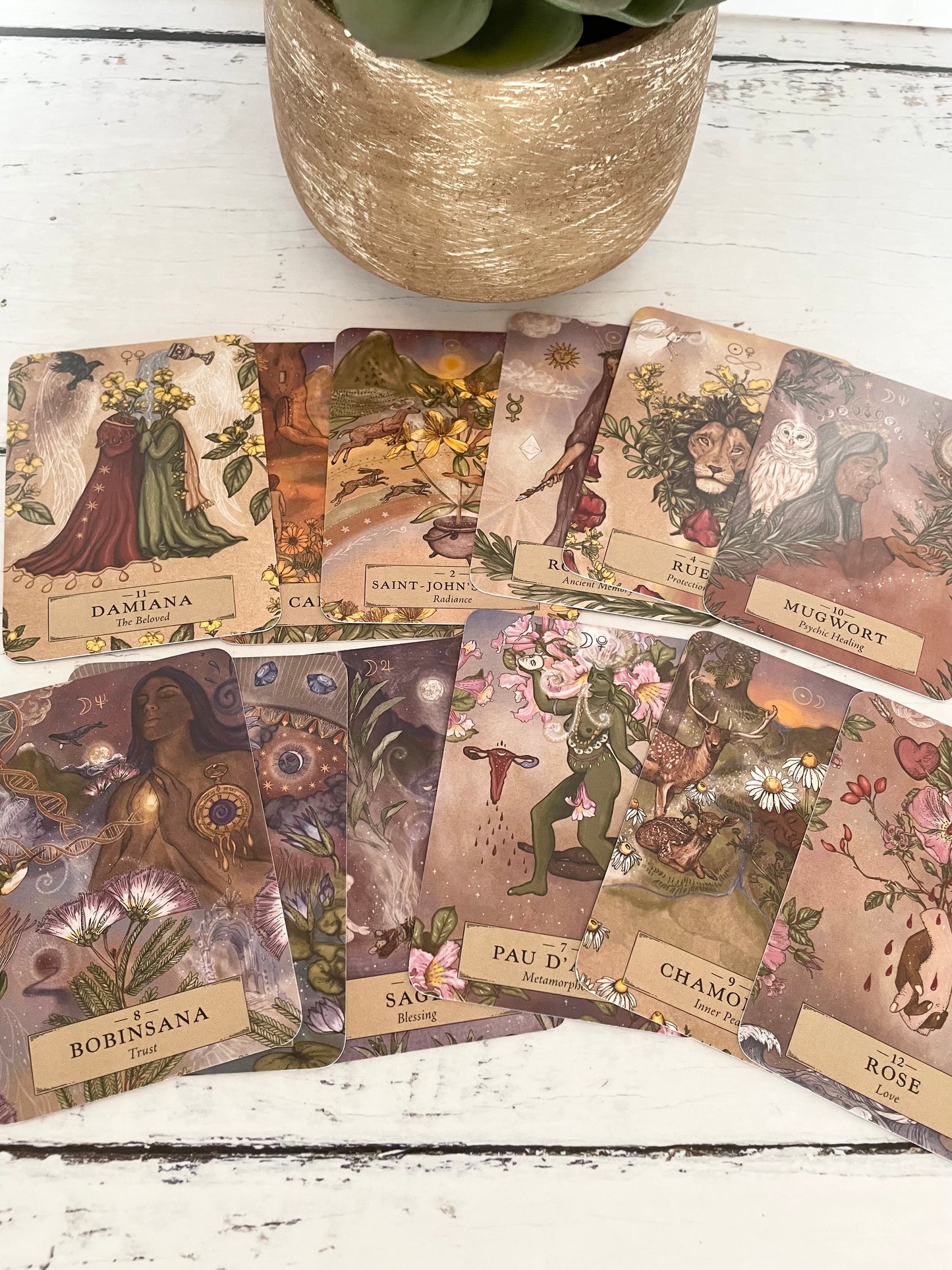 Herbal Astrology Pocket Oracle ~ 55 cards and guide