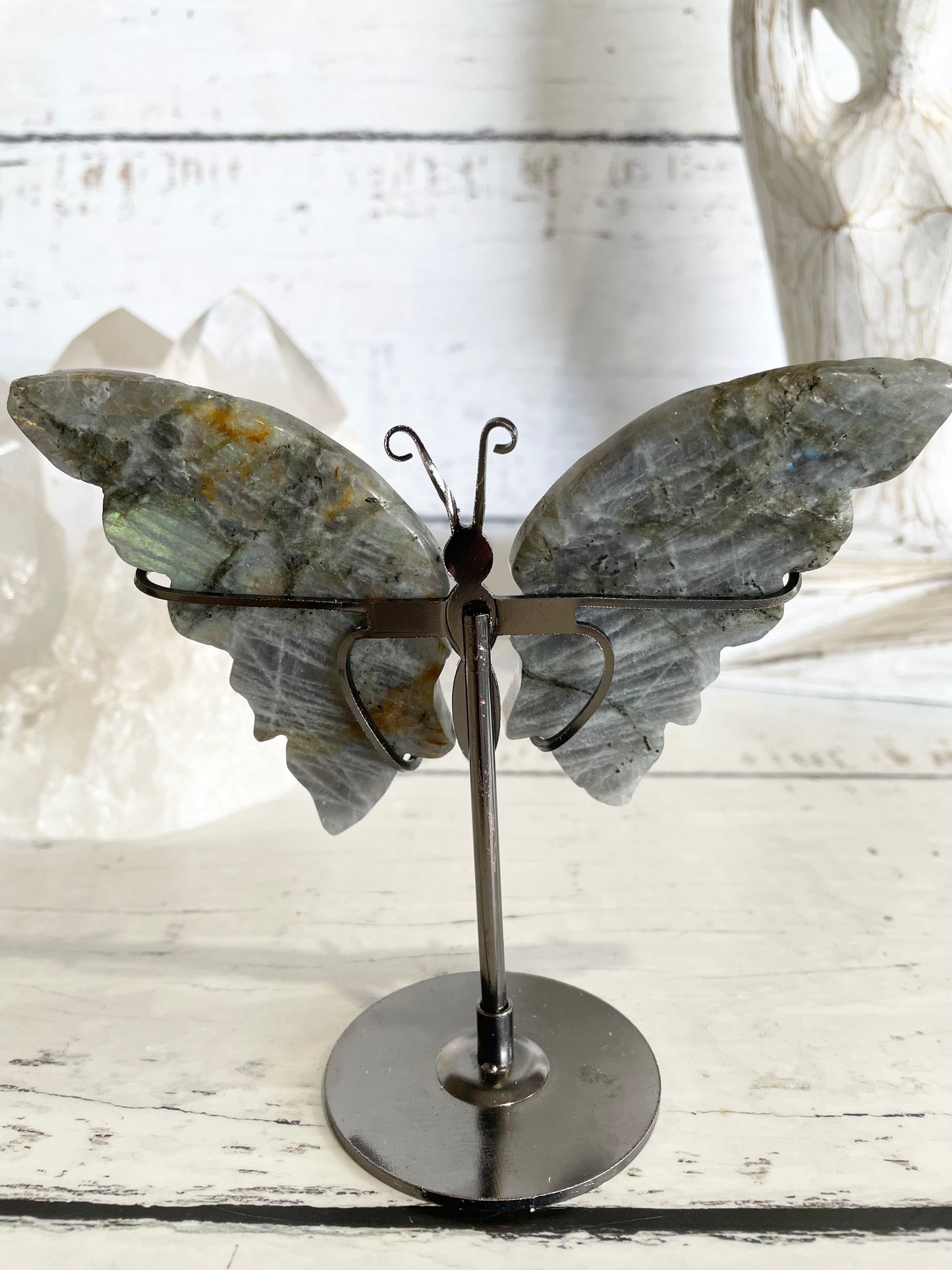 Butterfly ~ Labradorite
