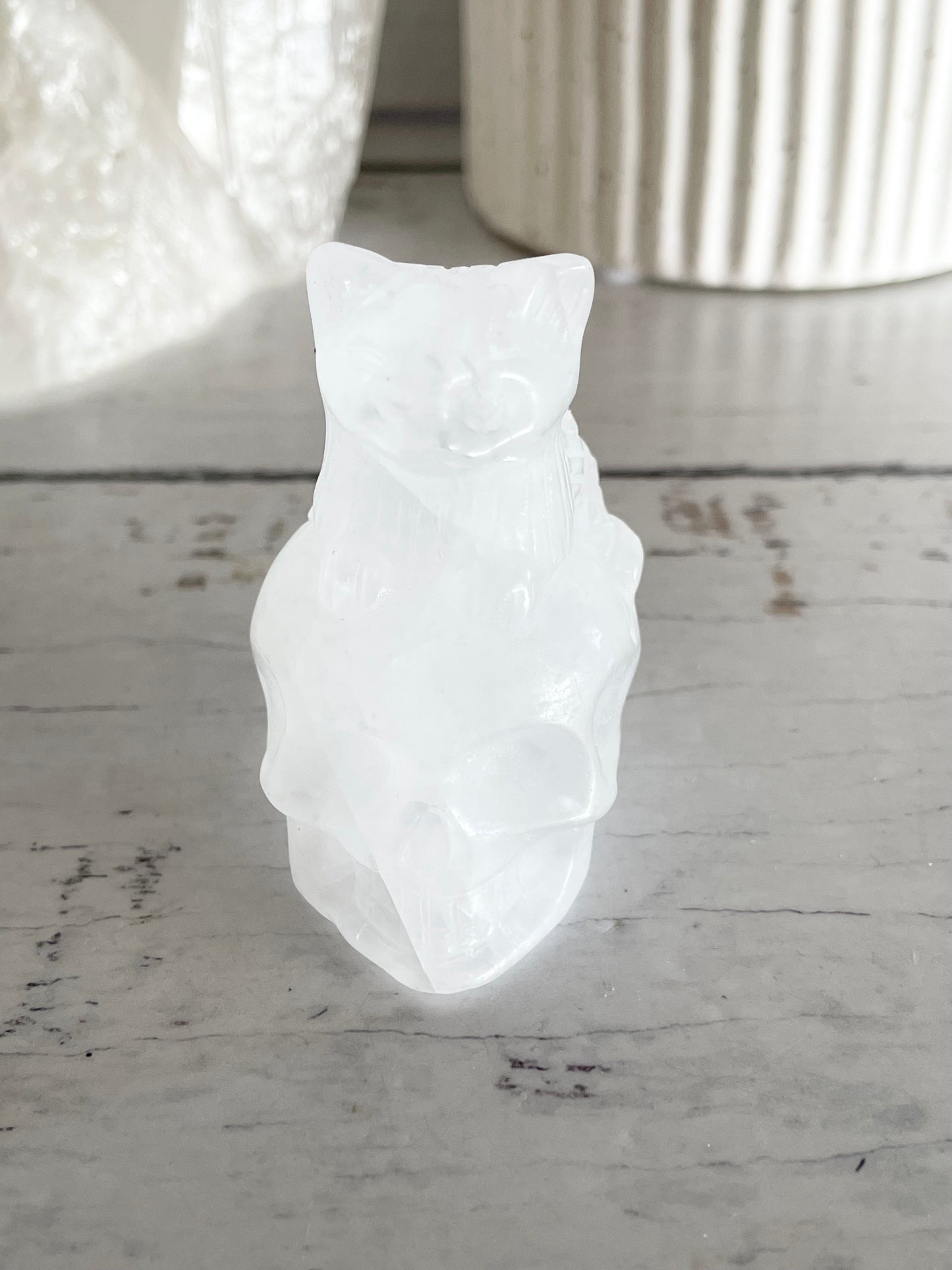 Clear Quartz Cat on Skull