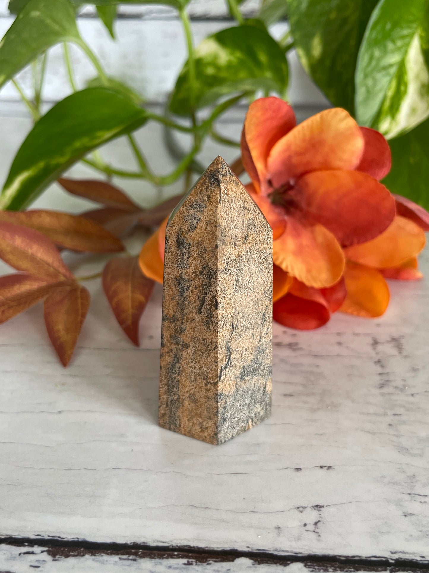 Picture Jasper Generator