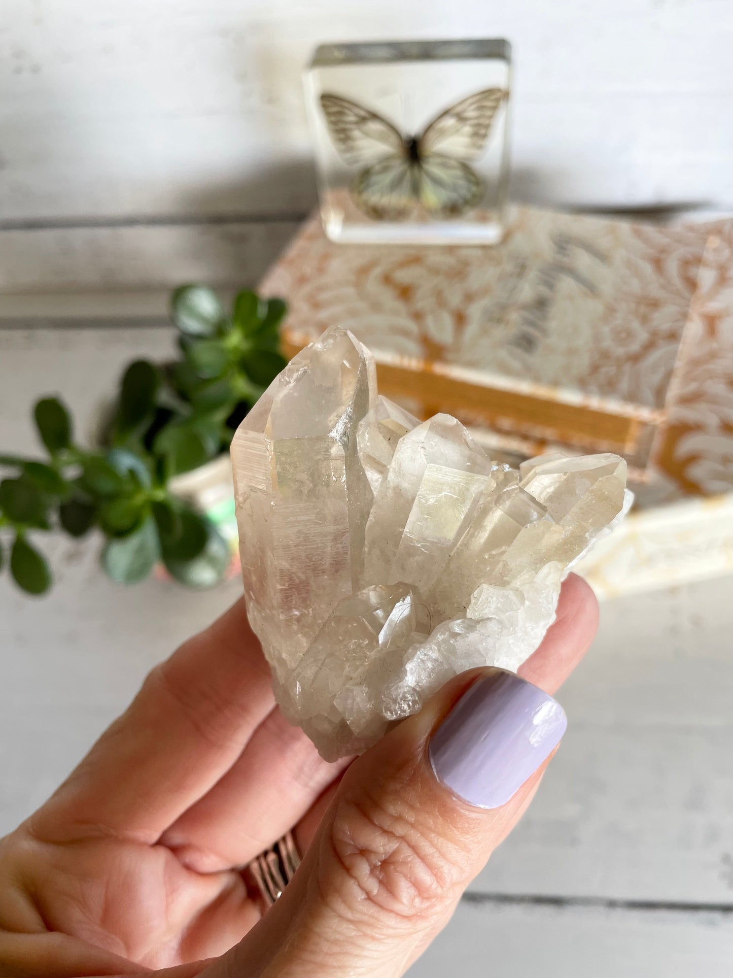 Golden Healer Lemurian Cluster