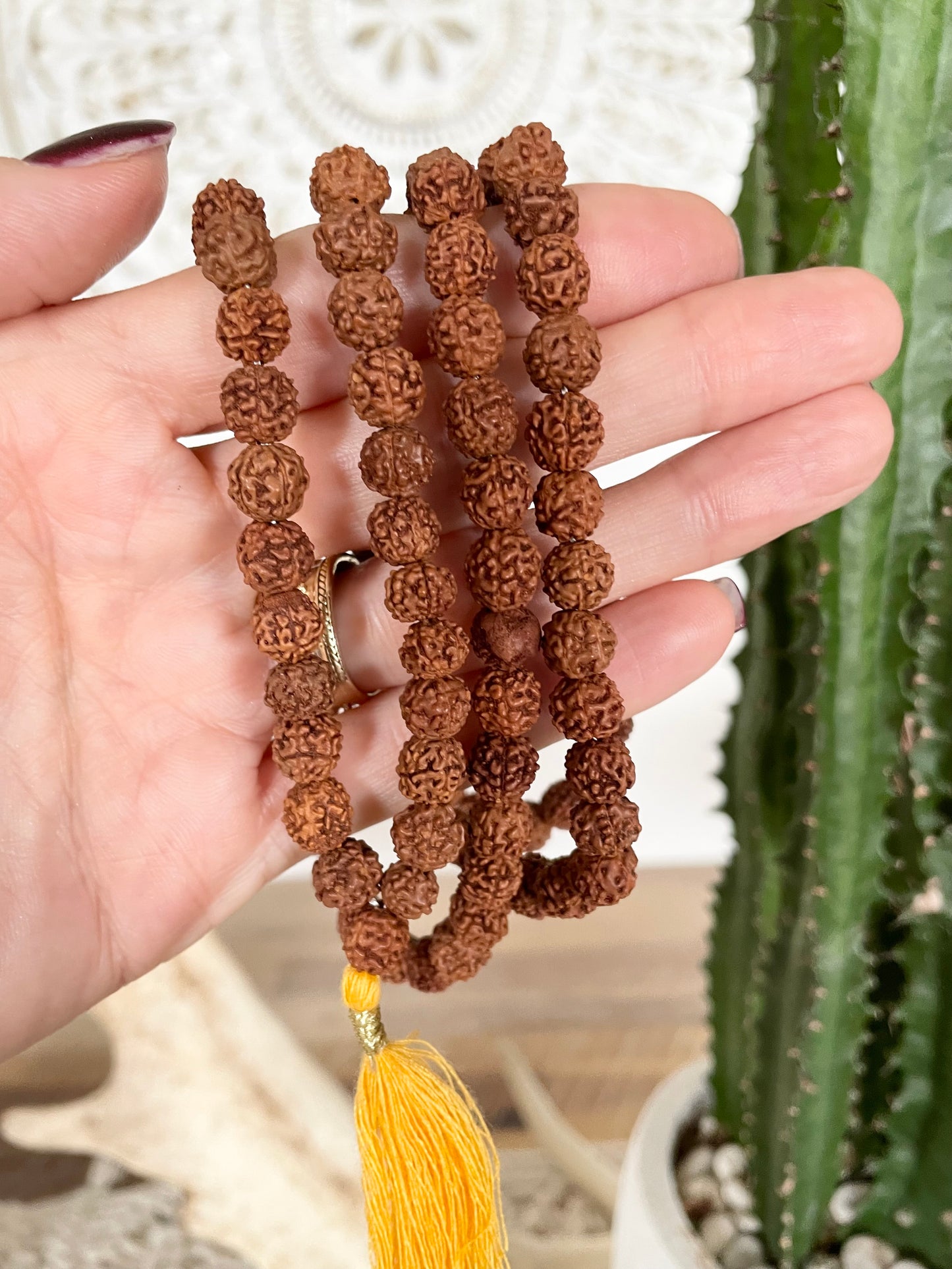 Rudraksha 108 + 1 ~ Mala/Prayer Beads