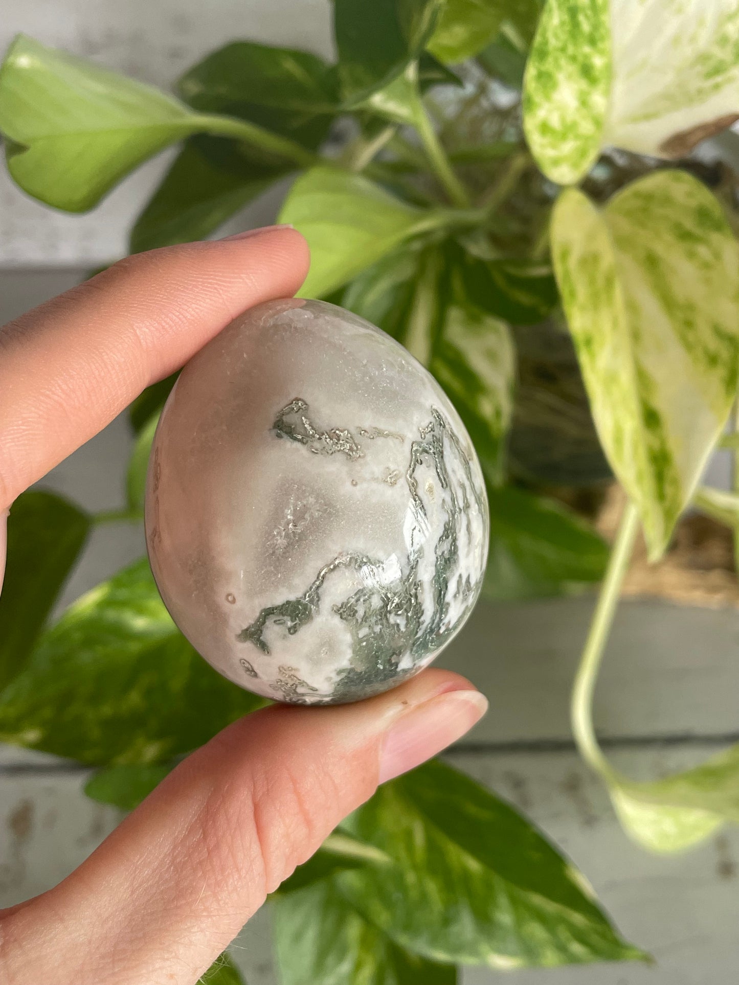 Tree Agate Egg Includes Hematite Ring