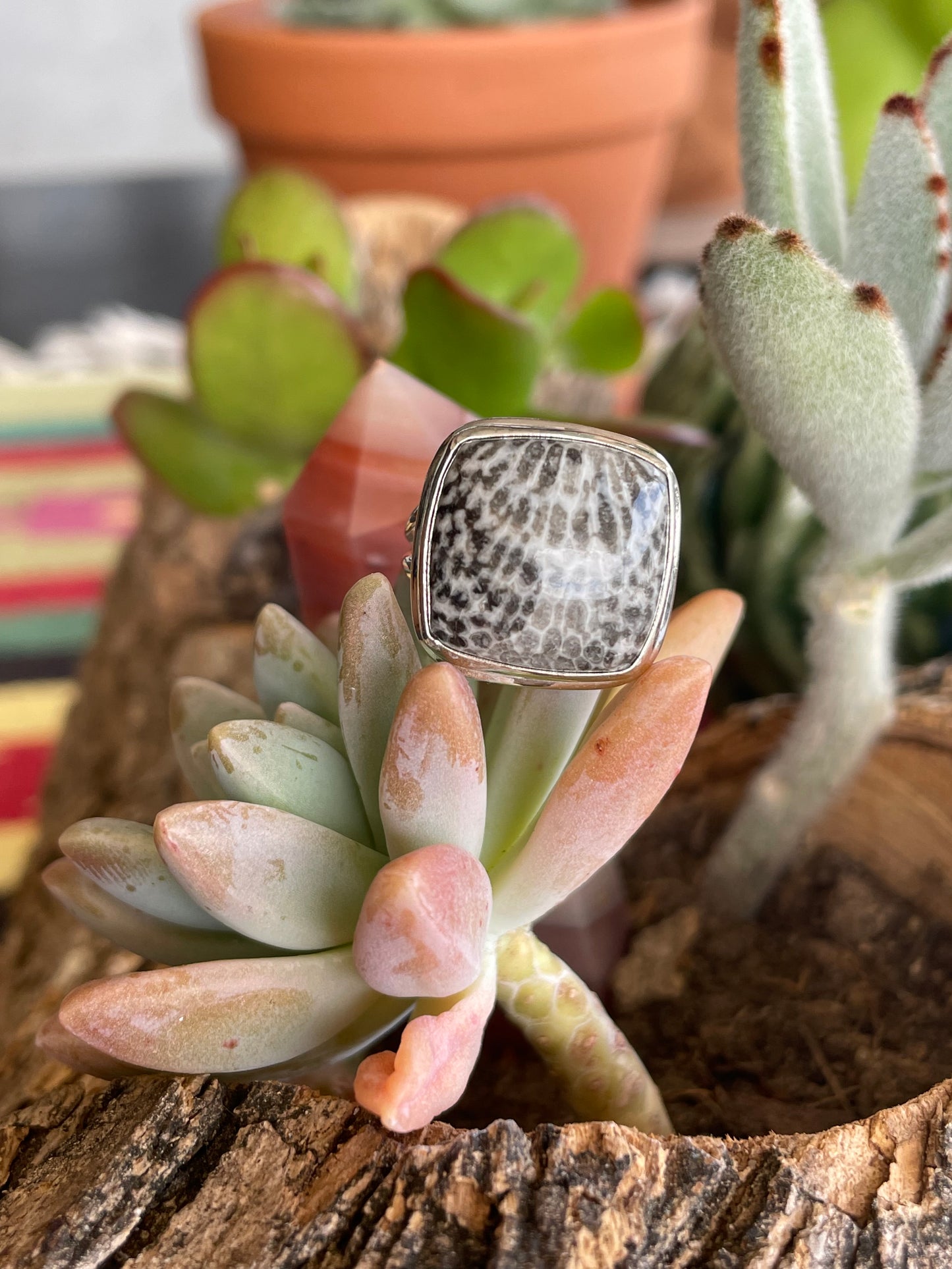 Stingray Coral Silver Ring