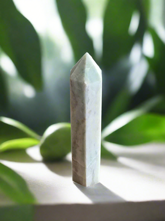Caribbean Calcite Generator