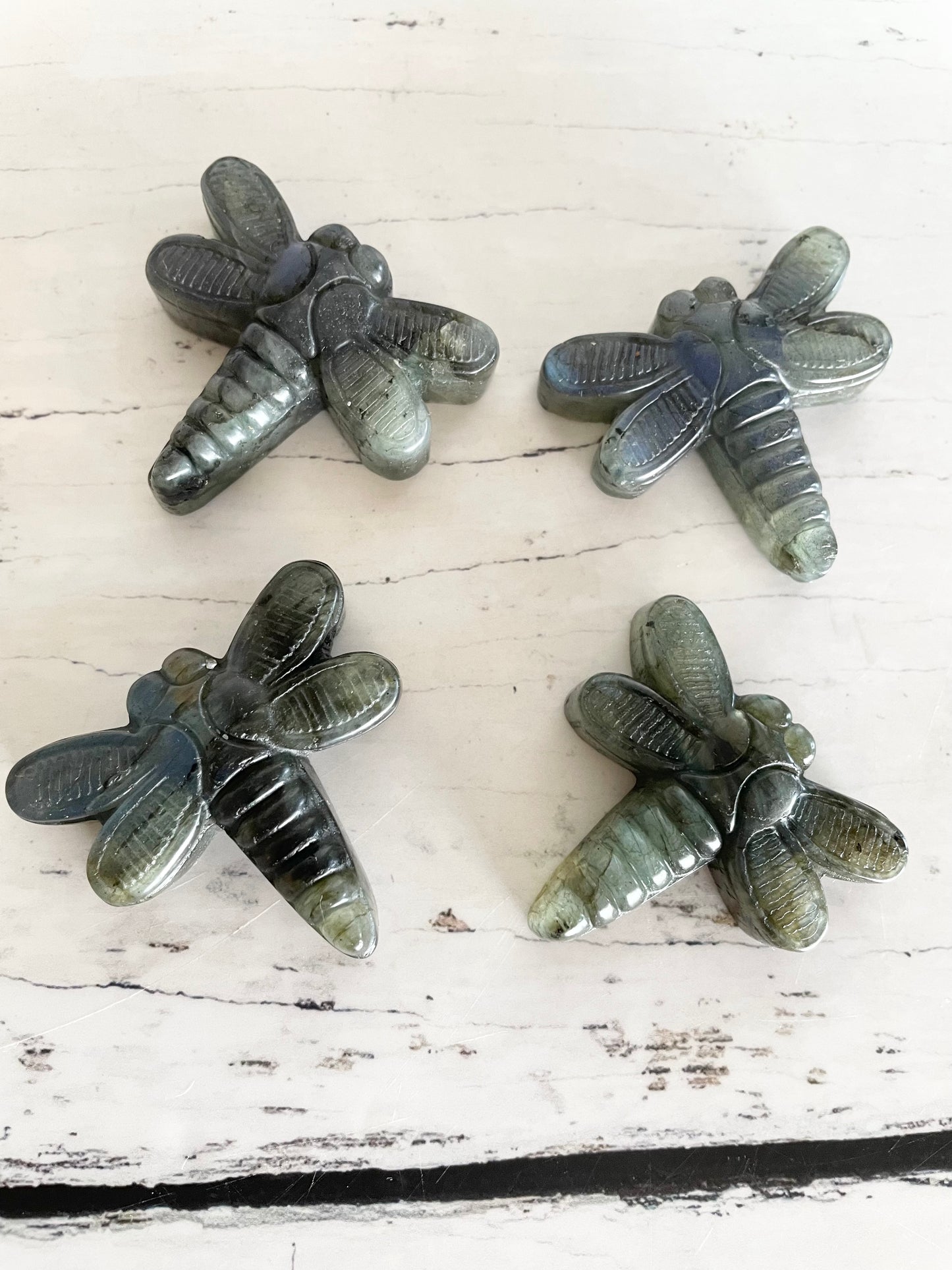 Intuitively Chosen ~ Dragonfly