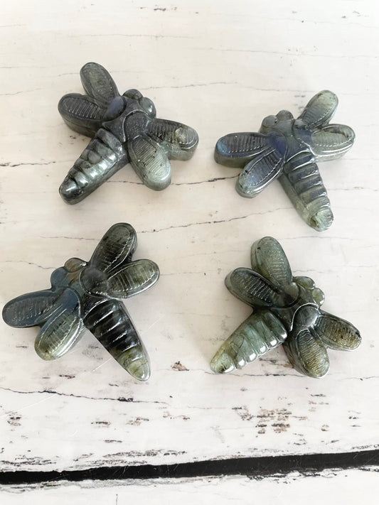 Intuitively Chosen ~ Dragonfly