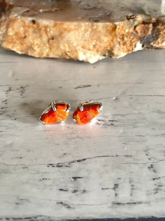 Red Spiny Oyster Studs