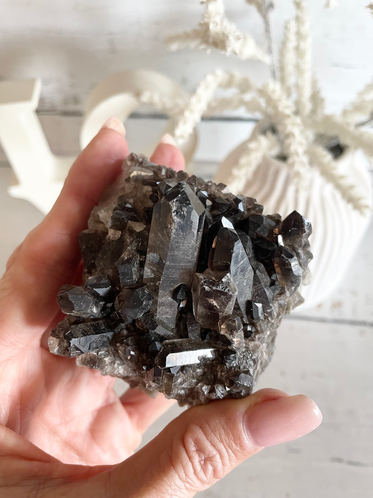 Smoky Quartz Cluster