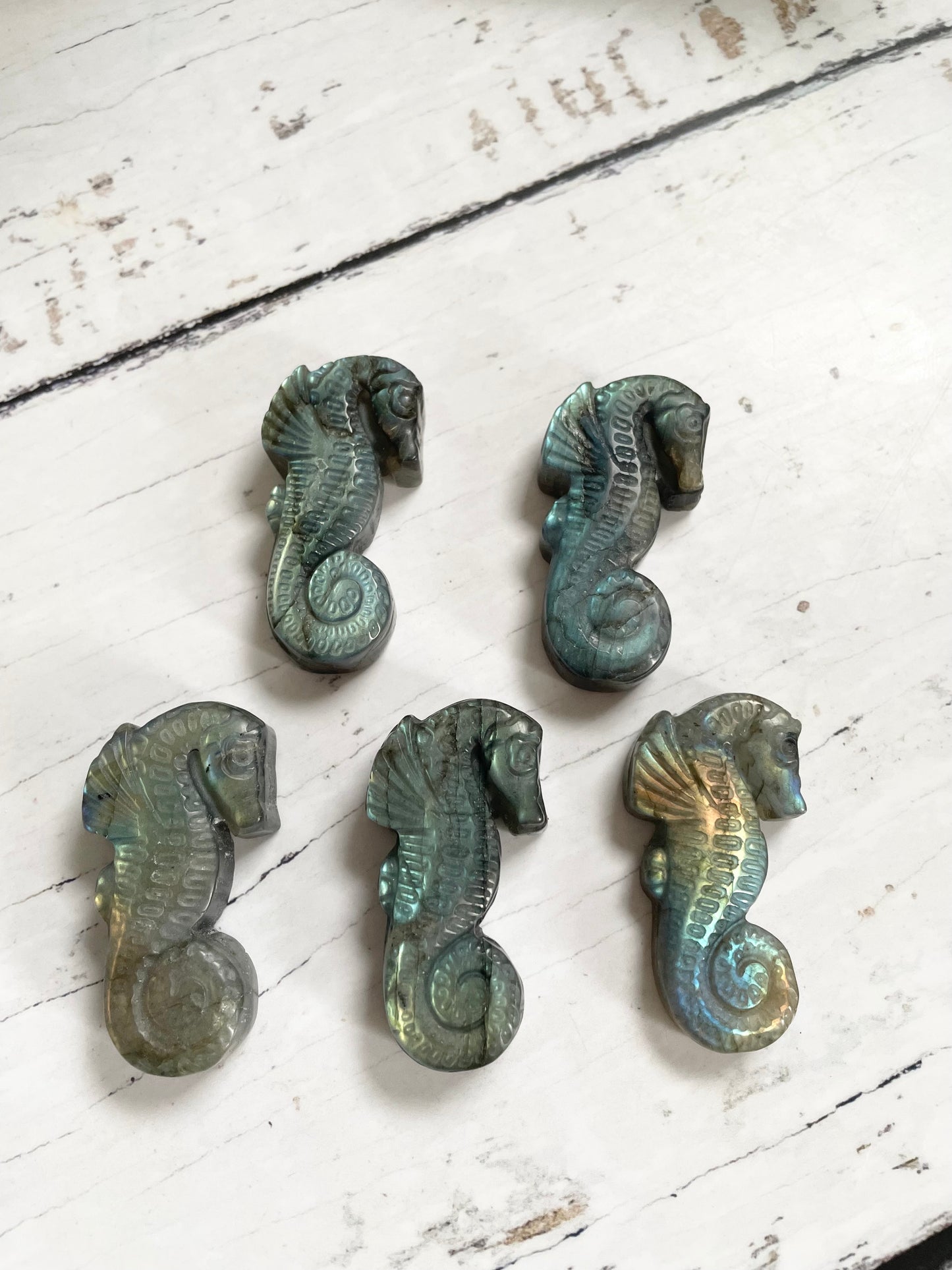 Intuitively Chosen ~ Labradorite Sea Horse