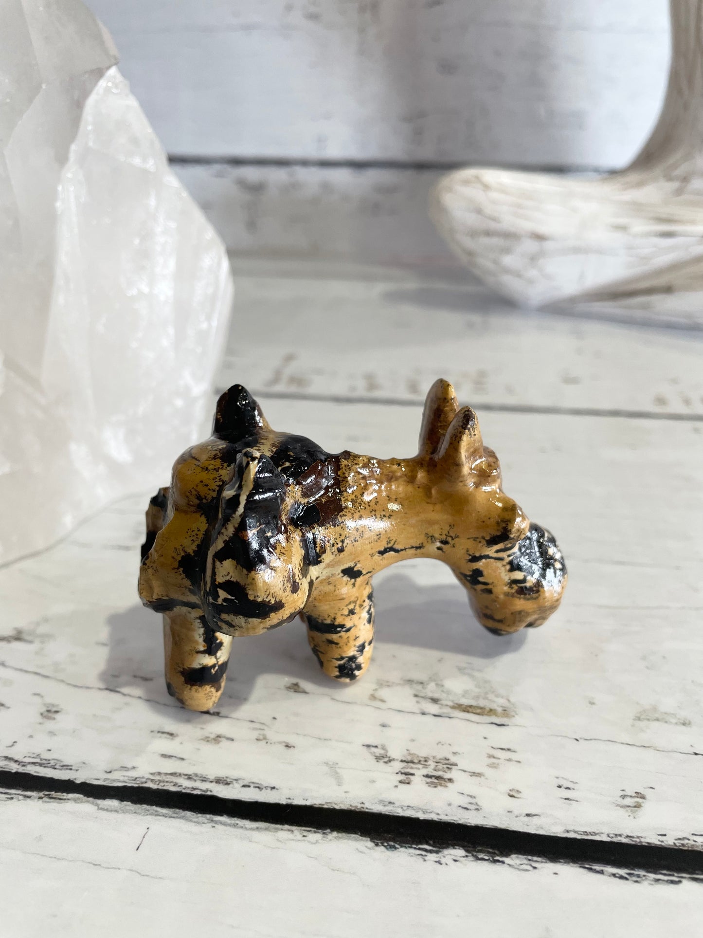 Picture Jasper Donkey ~ 14